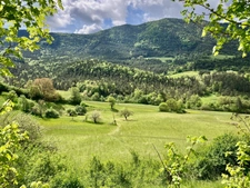Dpt Alpes de Haute Provence (04), à vendre Proche ENTREVAUX Superbe terrain de plus d'un hectare avec vue montagnes