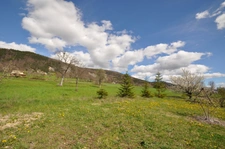 Dpt Alpes de Haute Provence (04), for sale near Annot Magnificent plot of 3700 m², beautiful view of the mountains 