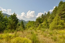 Dpt Alpes de Haute Provence (04), à vendre Proche ENTREVAUX Superbe terrain de plus d'un hectare avec vue montagnes