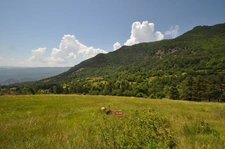 Dpt Alpes de Haute Provence (04), à vendre Proche ENTREVAUX Maison atypique sur 4 hectares, Vue panoramique