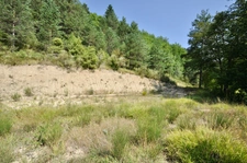Dpt Alpes de Haute Provence (04), à vendre Proche ENTREVAUX Superbe terrain de plus d'un hectare avec vue montagnes