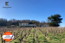 Chartreuse du XVIIIe avec vignoble – Entre-deux-Mers