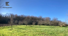 Chartreuse du XVIIIe avec vignoble – Entre-deux-Mers