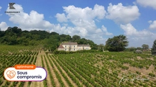Chartreuse du XVIIIe avec vignoble – Entre-deux-Mers
