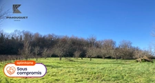Chartreuse du XVIIIe avec vignoble – Entre-deux-Mers