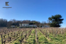 Chartreuse du XVIIIe avec vignoble – Entre-deux-Mers