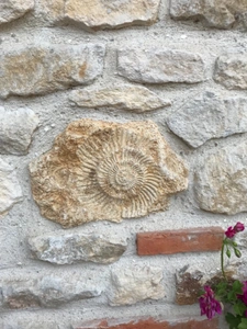 Magnifique proriété et sa maison d'amis entièrement rénovées avec des matériaux anciens En plein coeur de la Normandie et à 30 minutes des plage !