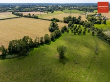 À VENDRE – Corps de ferme avec 24,85 hectares – Pays d’Auge proche Bonnebosq