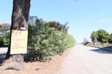 T2 bungalow mer et montagne, Domaine D'Anghione, CASTELLARE DI CASINCA (2b)