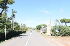 T2 bungalow mer et montagne, Domaine D'Anghione, CASTELLARE DI CASINCA (2b)