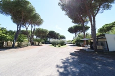 T2 bungalow mer et montagne, Domaine D'Anghione, CASTELLARE DI CASINCA (2b)
