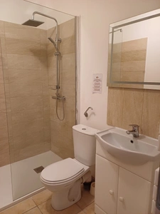 Appartement T2 vue exceptionnelle à SERRA DI FERRO (20)