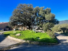 Appartement à vendre 3 pièces SERRA DI FERRO (Corse du Sud 20)