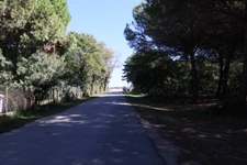 T2 bungalow mer et montagne, Domaine D'Anghione, CASTELLARE DI CASINCA (2b)