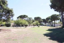 T2 bungalow mer et montagne, Domaine D'Anghione, CASTELLARE DI CASINCA (2b)