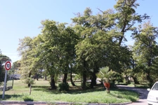 T2 bungalow mer et montagne, Domaine D'Anghione, CASTELLARE DI CASINCA (2b)