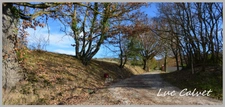 Puylaurens - 699000€ - Métairie Restaurée de 300m² et Grange Ammenagée de 250m² - Terrain 6Ha