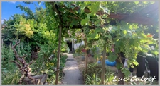 Saint Paul Cap de Joux - Immeuble de rapport a saisir 225K€