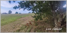 À VENDRE - LE BORN (31) ✨ Terrain constructible de 1970 m² ✨ 💶 Prix : 52000 €