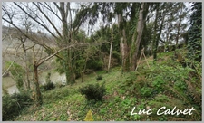 SAINT LIEUX LES LAVAUR (81) : Terrain à Construire 1600m2 - 102500€