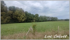 🏡 A SAISIR 465K€ – BELLE PROPRIÉTÉ MONTAUBAN – SECTEUR RECHERCHÉ DU FAU 🌿