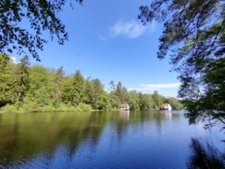 BAERENTHAL – RARE - Maison d’architecte avec piscine - Prestige, confort, nature : l’équilibre parfait