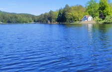 BAERENTHAL – RARE - Maison d’architecte avec piscine - Prestige, confort, nature : l’équilibre parfait