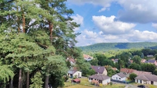 BAERENTHAL – RARE - Maison d’architecte avec piscine - Prestige, confort, nature : l’équilibre parfait