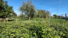 SURBOURG – Terrain constructible de 507 m² en seconde ligne, proche gare