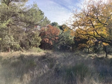 Rare a le vente  terrain  de 2610 m² trés calme et nature. Baudinard-sur-Verdon "83630"