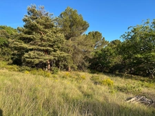 Terrain à batir de 2610 m² BAUDINARD SUR VERDON (83)