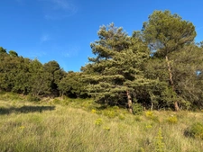 Terrain à batir de 2610 m² BAUDINARD SUR VERDON (83)