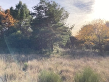 Rare a le vente  terrain  de 2610 m² trés calme et nature. Baudinard-sur-Verdon "83630"