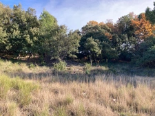 Rare a le vente  terrain  de 2610 m² trés calme et nature. Baudinard-sur-Verdon "83630"