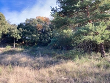 Rare a le vente  terrain  de 2610 m² trés calme et nature. Baudinard-sur-Verdon "83630"