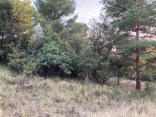 Rare a le vente  terrain  de 2610 m² trés calme et nature. Baudinard-sur-Verdon "83630"