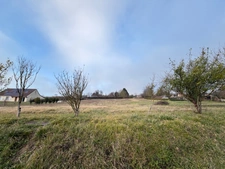 Terrain de plus de 7 200 m² avec près de 4 800 m² exploitables – Rare sur le secteur !