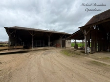 Maison familiale 4 chambres – 1 hectare de terrain – dépendances – Breil / Noyant-Villages