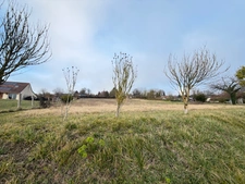 Terrain de plus de 7 200 m² avec près de 4 800 m² exploitables – Rare sur le secteur !