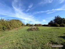 CHALONNES-SOUS-LE-LUDE – PROPRIÉTÉ DE CHARME AVEC DEUX HABITATIONS, GRANGE ET PARC ARBORÉ
