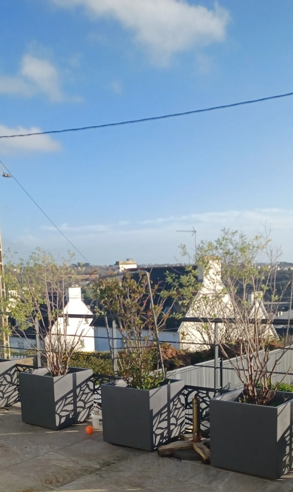 Maison à vendre 5 pièces AUDIERNE (29)