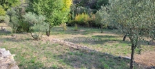 Grande propriété avec dépendances sur 1,6 ha