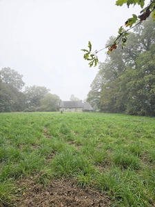 Maison à rénover à vendre TREAL (56) sur Grand terrain de 5270m2 plus parcelle non attenante de 6970m2