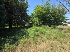 *** EXCLUSIVITE *** GRANGE ET TERRAIN *** REIGNAT 63160 ***