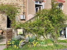 *** EXCLUSIVITE *** GRANDE MAISON AVEC TERRASSES, DEPENDANCES ET POTAGER *** ST DIER D'AUVERGNE 63520 ***
