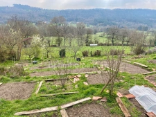 *** EXCLUSIVITE *** GRANDE MAISON AVEC TERRASSES, DEPENDANCES ET POTAGER *** ST DIER D'AUVERGNE 63520 ***
