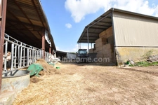 *** EXCLUSIVITE *** PROPRIETE AGRICOLE : MAISON AVEC DEPENDANCES ET TERRAIN *** DOMAIZE 63590 ***