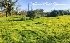 Propriété rare avec étang sur plus de 2 hectares