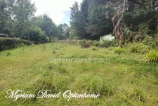 🏡 Maison familiale avec grand terrain – à rénover 🌳