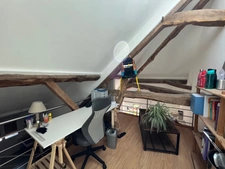 Coup de Coeur pour ce type 3bis en duplex Allinges